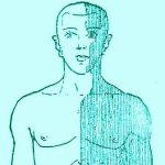 link to Neuro Symptoms website